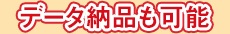 データ納品も可能